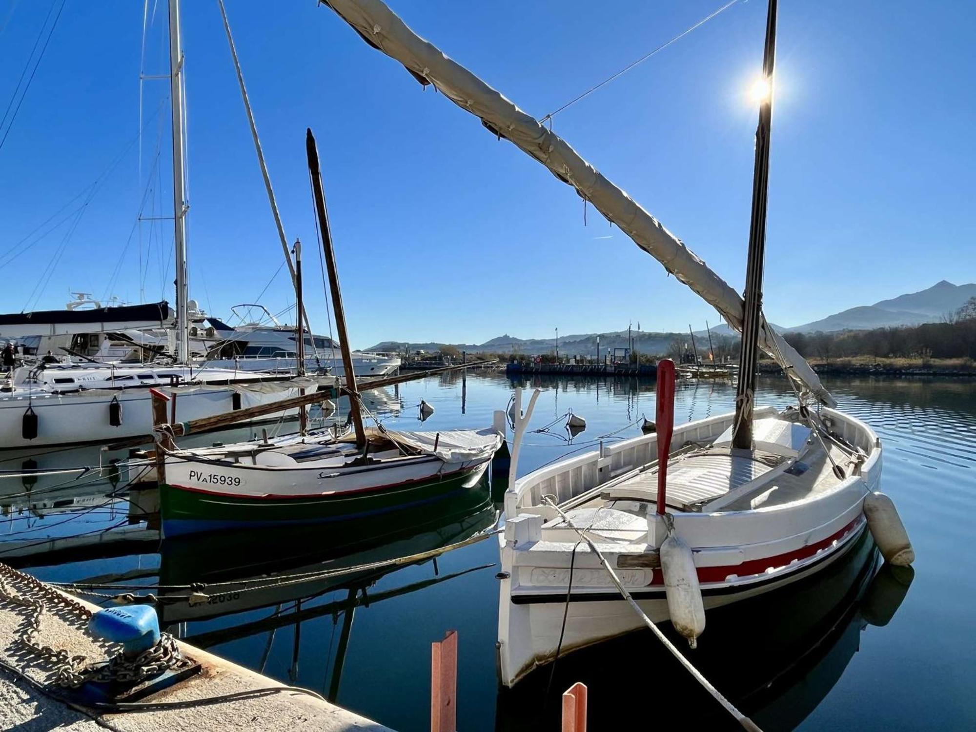 Appartement 2 Pieces, Balcon, Proche Plage Et Commerces, Quartier Calme - Argeles-Sur-Mer - Fr-1-225-685 Eksteriør billede